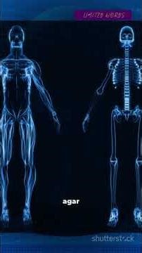 What if we could see ALL light? 👁️🌈 Hidden universe revealed!