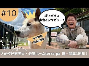 【祝・開業1周年】坂上パパに本音インタビュー！さかがみ家老犬老猫ホームterra-pa