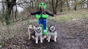 35K views · 735 reactions | Dogs reaction to an alien abduction!! | Life with malamutes | Facebook