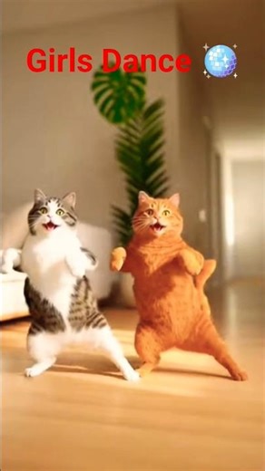 cats built different fr fr 💀 #catshorts #funny #shorts