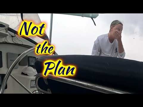 SDA229 This Season Didn't Go As Planned