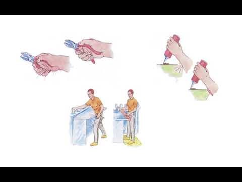 12 PRINCIPIOS DE ERGONOMÍA