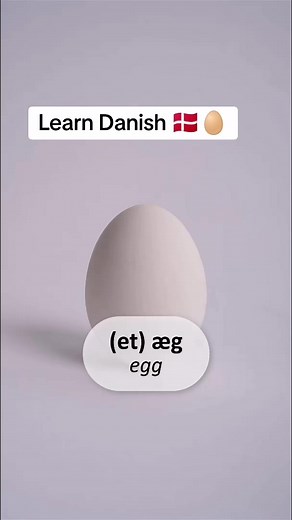 Learn Danish 🇩🇰🥚 | Beginner's Guide to Danish Language