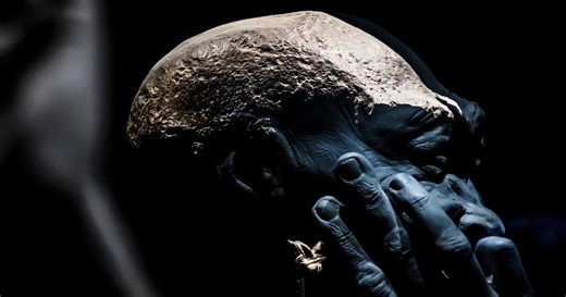 Les premiers fossiles de l’Homme de Java vont être restitués par les Pays-Bas à l'Indonésie