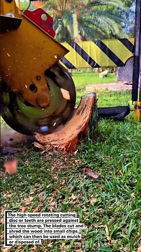 STUMP GRINDER IN ACTION! Fast & Effective!