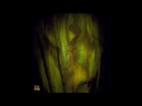 Gamma Intel - Lever [NC012]