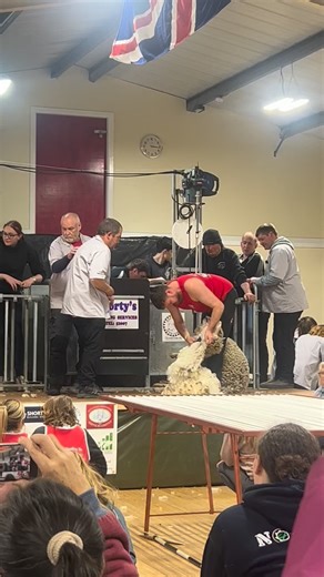 The first heat of the shearing test is on between Chile and Wales. You can follow. the link to watch the Live Stream of the Falkland Shears Annual Competition & Tri-Nations Test Match: https://www.youtube.com/watch?v=wOiBQoSJd4k Doors open at 8:30am at the FIDF Hall, and the competition will run through to 6:30pm. Visitors can enjoy delicious food, explore the indoor expo featuring sponsors and local businesses, and experience the incredible atmosphere of world-class shearing in action. Entry wr