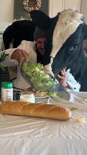 Dinner Time with Bruce the Cow - Fun and Delicious Meal Experience