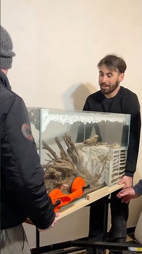 We managed to move my enormous ant terrarium!