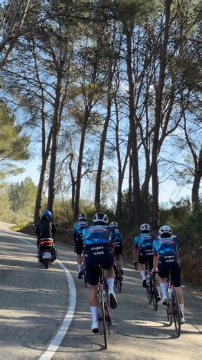 Training in the sun ☀️🇪🇸 #mbhbankballancsbcolpack #cinelli #upvine #gsg #vittoria #prologo #kask #bee1 #ciclismo #cycling #race | MBH BANK Colpack Ballan Csb