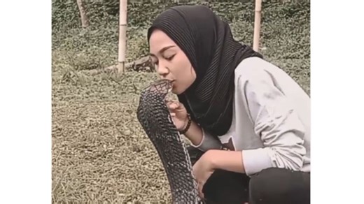 Viral video: Woman kisses King Cobra on head, netizens say she's ‘out of her mind’ | Today News