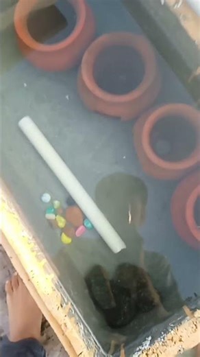 new thermocol box painted by fish tank