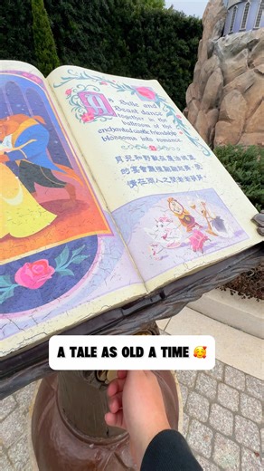 The Fairytale Forest is so magical! 🥰 #disney #disneyparks #beautyandthebeast | Lights, Camera, Magic