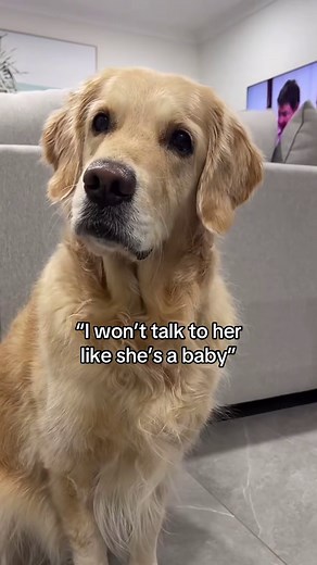Golden Retriever Owner Breaks All Her Rules