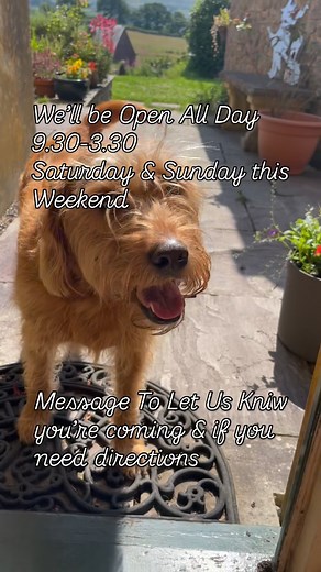 27 reactions · 6 comments | ***Post Update: Sunday Open from 12.30 …...