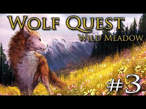 A Fierce BATTLE Between Rival Wolves?! 🐺 WOLF QUEST: WILD MEADOW • #3