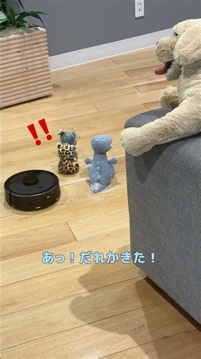 社員も知らない、オフィスのひみつ🤫🧸 #ルンバ #ロボット掃除機 #home #shorts
