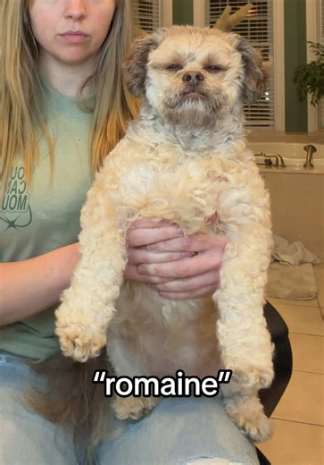 Lil Max Presents His Original Work: Romaine