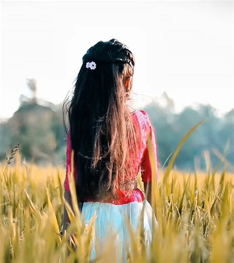 Phoenix Videography 😻🎥 ☎️ : 0740055162 📍 : Trincomalee 🖥️ : @Mr.PhoeniX 🪽 #village #videography #photography #trending #tiktok #film #song #love #baby #reels #capcut #viral #farm #evening