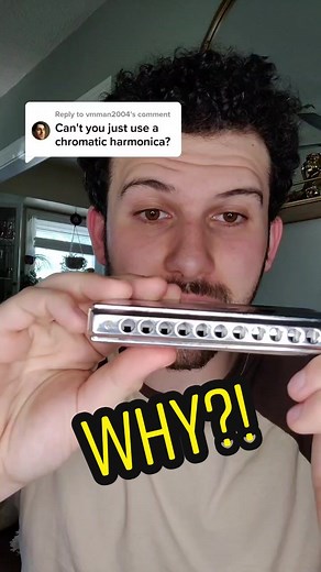 Understanding Harmonicas: How They Work and Key Differences