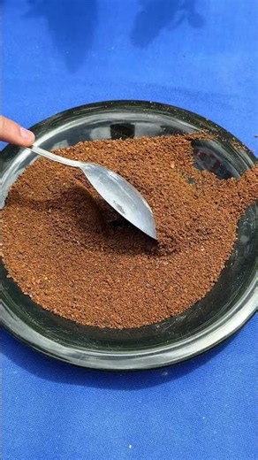 How we use this fertilizer in our home garden and fruit trees