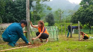 Commune official provide dragon fruit seedlings and farming advice to single mom | 7Daily