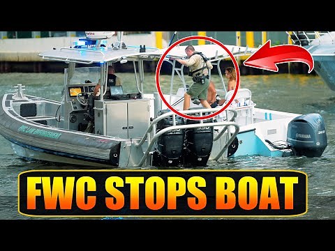 Pulled Over By FWC Officers on the Miami River (Full Story) | BOAT ZONE