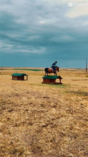 #eventing #horse #equestrianjourney #equestrian