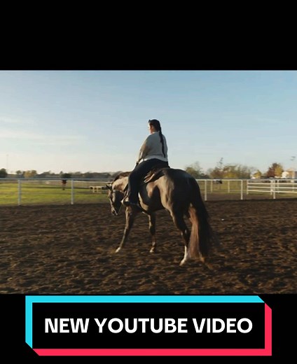 Learn Western Riding Techniques with Aaron Moses