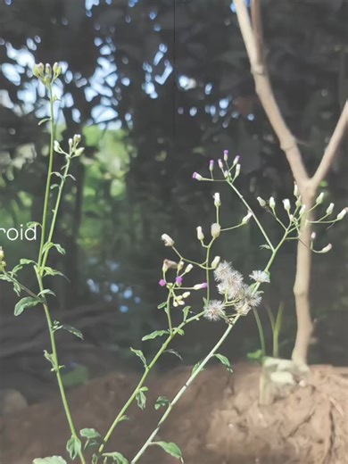 Cinematic Features of Infinix GT 20 Pro