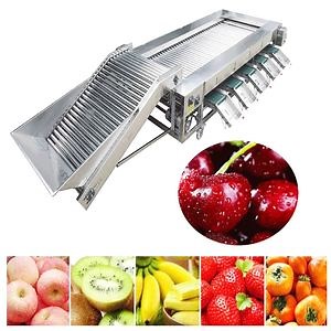 [Hot Item] Commercial Large-Capacity Vegetable Fruit Potato Tomato Grading and Sorting Machine
