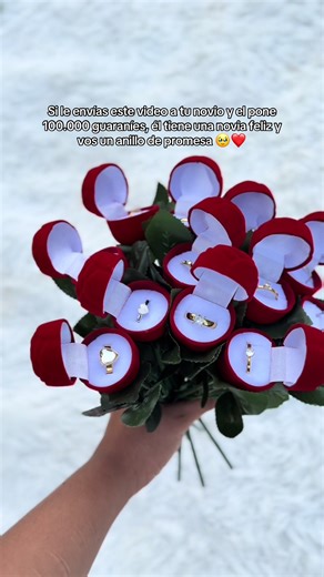 #fyp #anillodepromesa #14defebrero #sanvalentin #diadelosenamorados