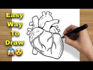 Heart Diagram Easy to Draw - Human Heart Drawing