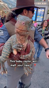 16K views · 116 reactions | Meet the cutest little dinosaur! ♥️ #JurassicPark #JurassicWorld #Dinosaur #Raptor #UniversalStudios Universal Studios Hollywood | Elijah Bergwitz | Facebook