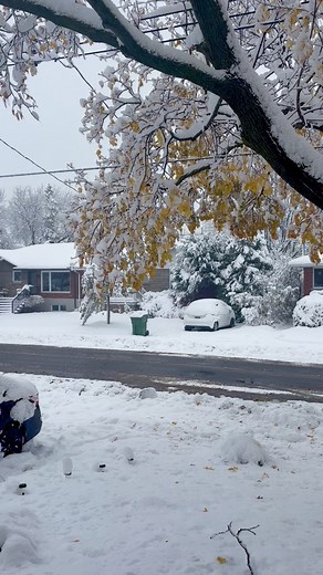 33 reactions · 8 comments | ❄️☃️️ #montreal #winter#winter #canada | Rani Sayeda Jannatul | Facebook