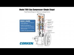 CORKEN T891 Reciprocating Gas Compressor