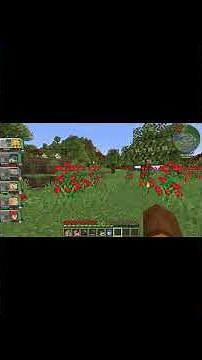 Elekid's Transformation into Electabuzz - Cobblemon Minecraft Twitch Series #cobblemon #minecraft