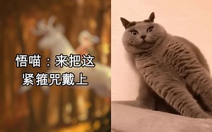 那些让人笑到头掉的沙雕GIF动态图 (≧∇≦)/ 第25期