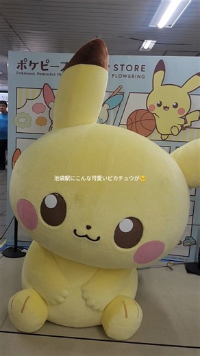 池袋駅に、とっても可愛いピカチュウがいました😊✨✨ポップアップストアなので、気になる方はお早めに🤭【𝑱𝒖𝒏𝒌𝒐】#shorts #ポケモン #ポケットモンスター #ピカチュウ #池袋