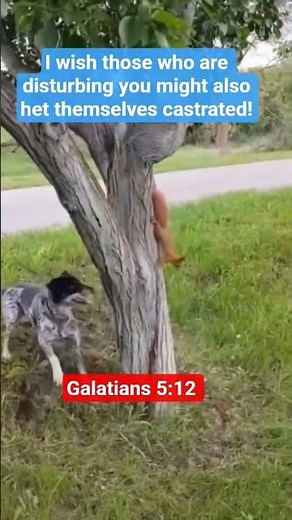 What Does Galatians 5 REALLY Mean?
