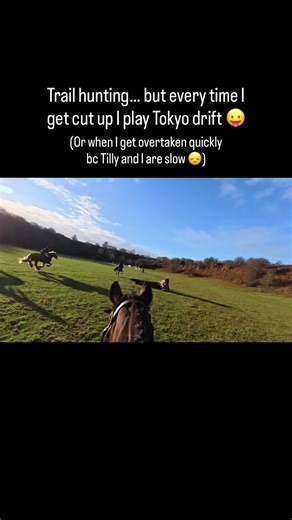 Exciting Trail Riding Adventures for Equestrians