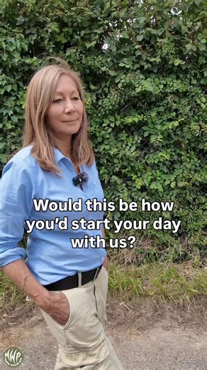 🌿🐾 Start your day the Anna way! 🥓☕️ A warm bacon roll and a cuppa before heading out to explore our 52-acre park. With wallabies to wander with, lemurs to meet, red pandas to spot, and so much more- you’ll need that energy for a full day of adventure! Who’s joining us for breakfast and a wild day out? 🦘🐒 🦏 🐯 ManorWildlifePark rhino habitat see rhinos bear exhibit wildlife park gibbons at zoo see gibbons howler monkeys UK primates at wildlife parks wildlife park in wales zoo days out Wales