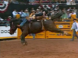 Darren Clarke on Calgary Stampede Ranch's E-14 Erotic Margie during round 10 at the 2003 National Finals Rodeo for 85.5 points. | All Things Roughstock