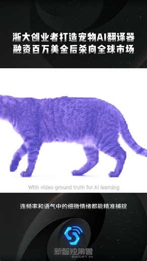 浙大创业者打造宠物AI翻译器,融资百万美金后杀向全球市场，A AI Pet Translator