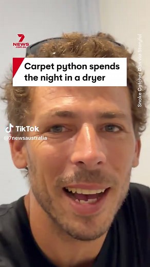 Rescuing a Carpet Python from a Tumble Dryer