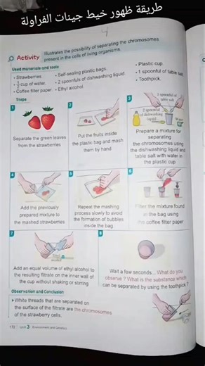 #fypシ゚viral#foryou #scince#جينات#فراولة #strawberry#explore#علوم #تجارب #conclusion#cell #chromosome
