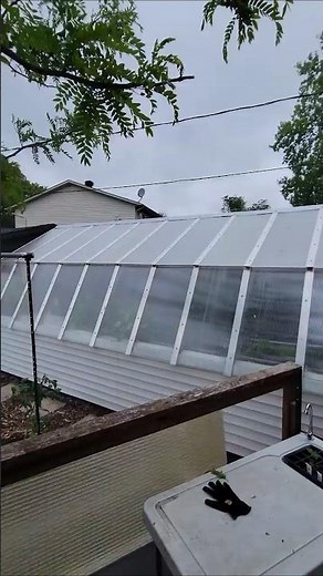 Solar passive greenhouse aquaponics