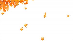 扁平卡通落叶枫叶树叶秋天季节元素GIF立秋落叶元素[GIF]GIF下载 - 觅知网