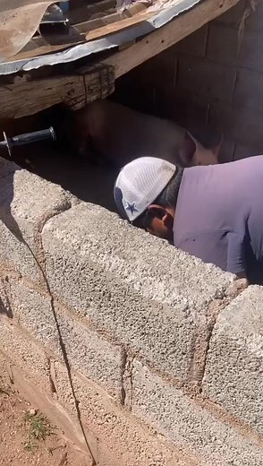 Cambiele el disco | Agustin Favela