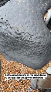 72K views · 707 reactions | Spotted this little pyrite ammonite I a large clay boulder along the Dorset Jurassic coast this morning | Charmouth Fossils | Facebook
